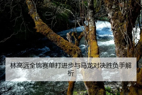 林高远全锦赛单打进步与马龙对决胜负手解析